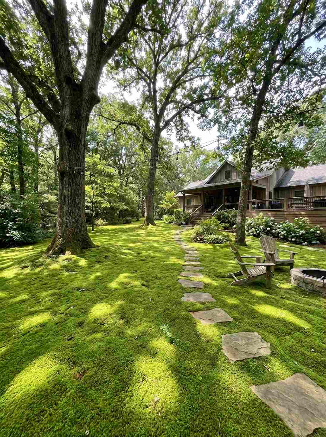 moss and groundcover carpet