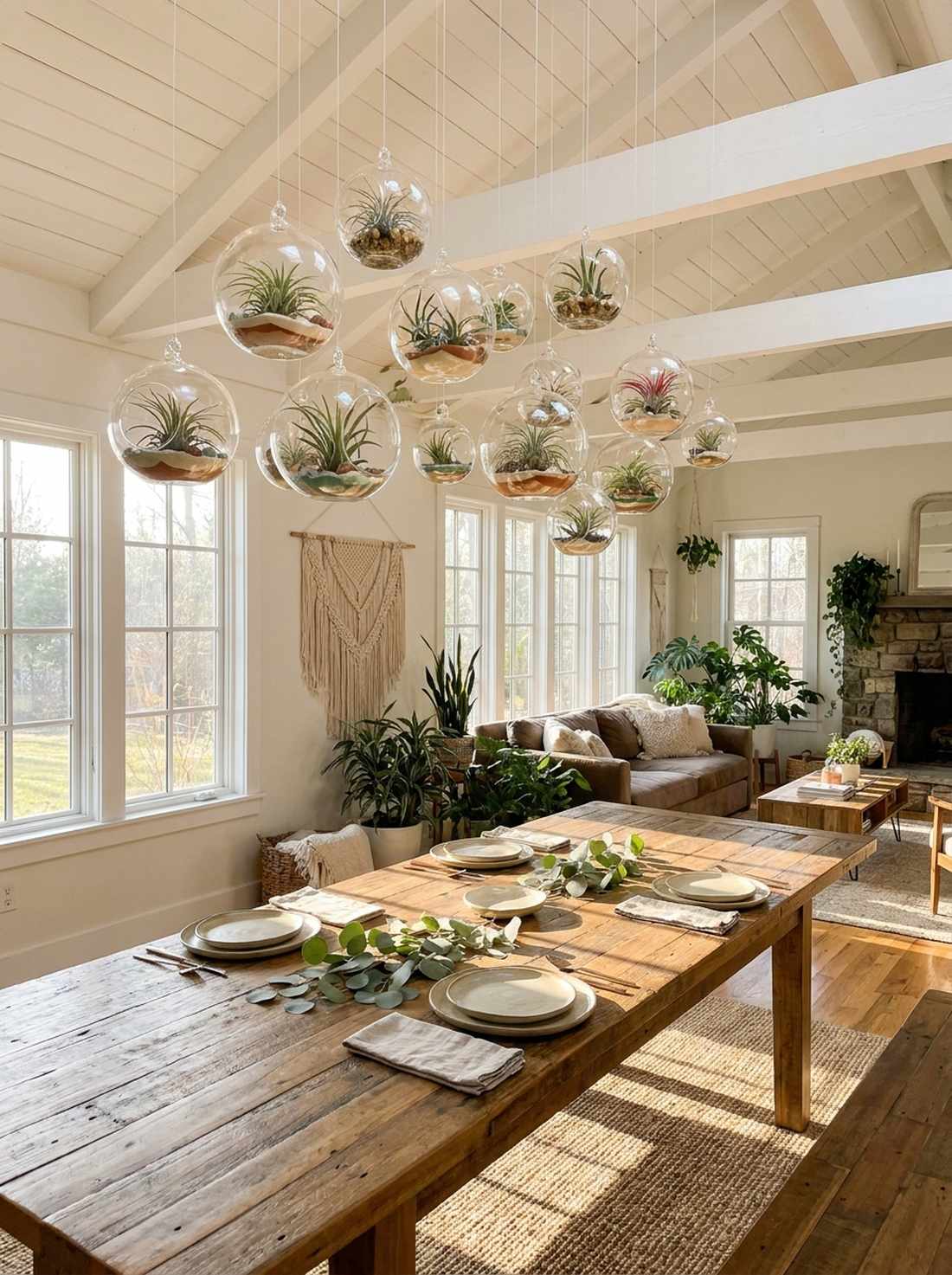 hanging terrariums with air plants