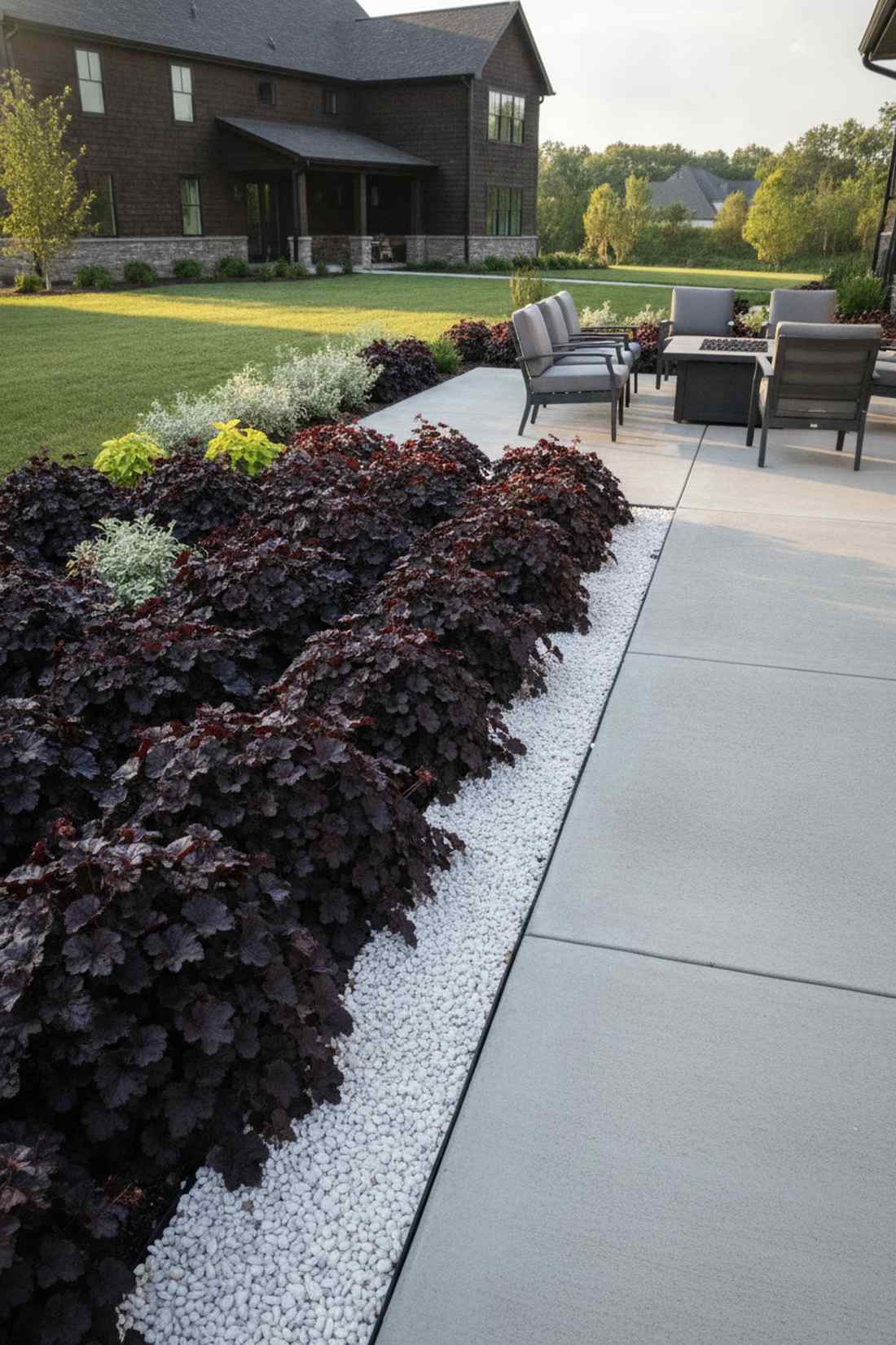 heuchera palace purple