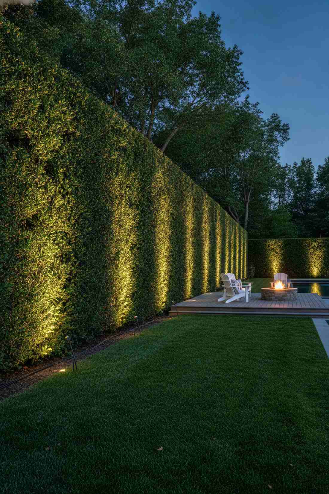 hedge wall grazing