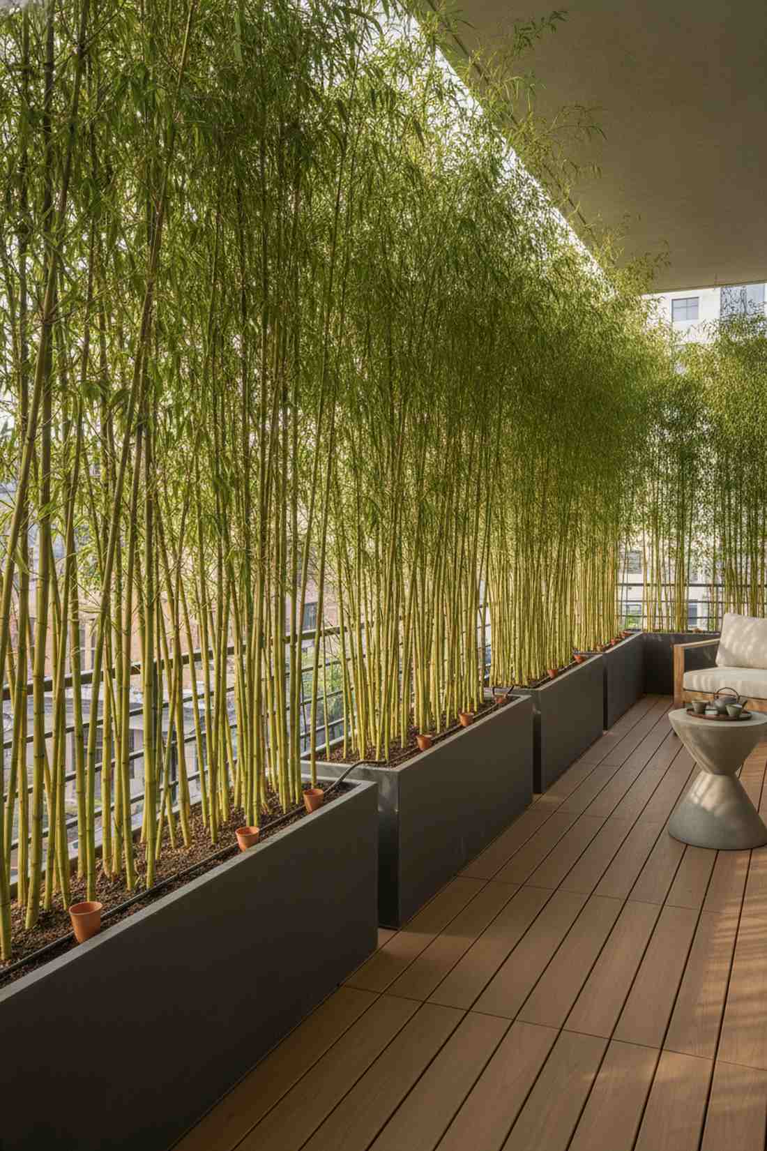 bamboo screen wall