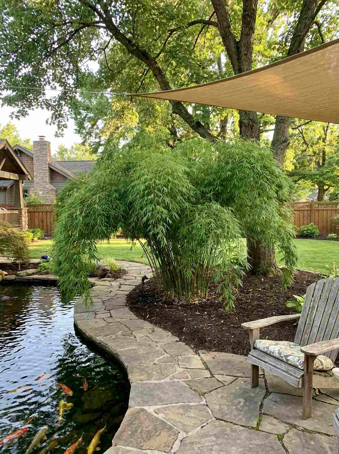 umbrella bamboo