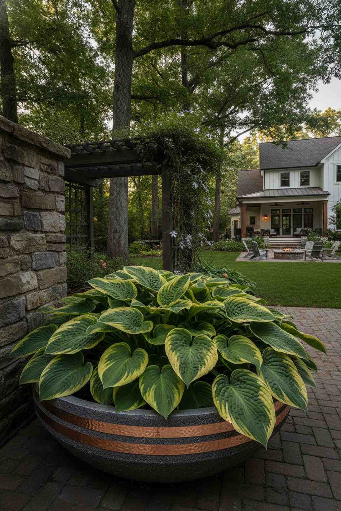 hostas