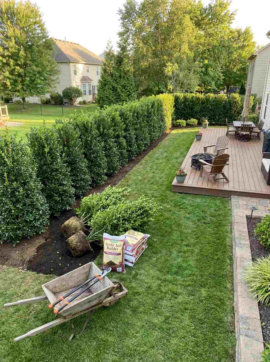 holly hedge architecture