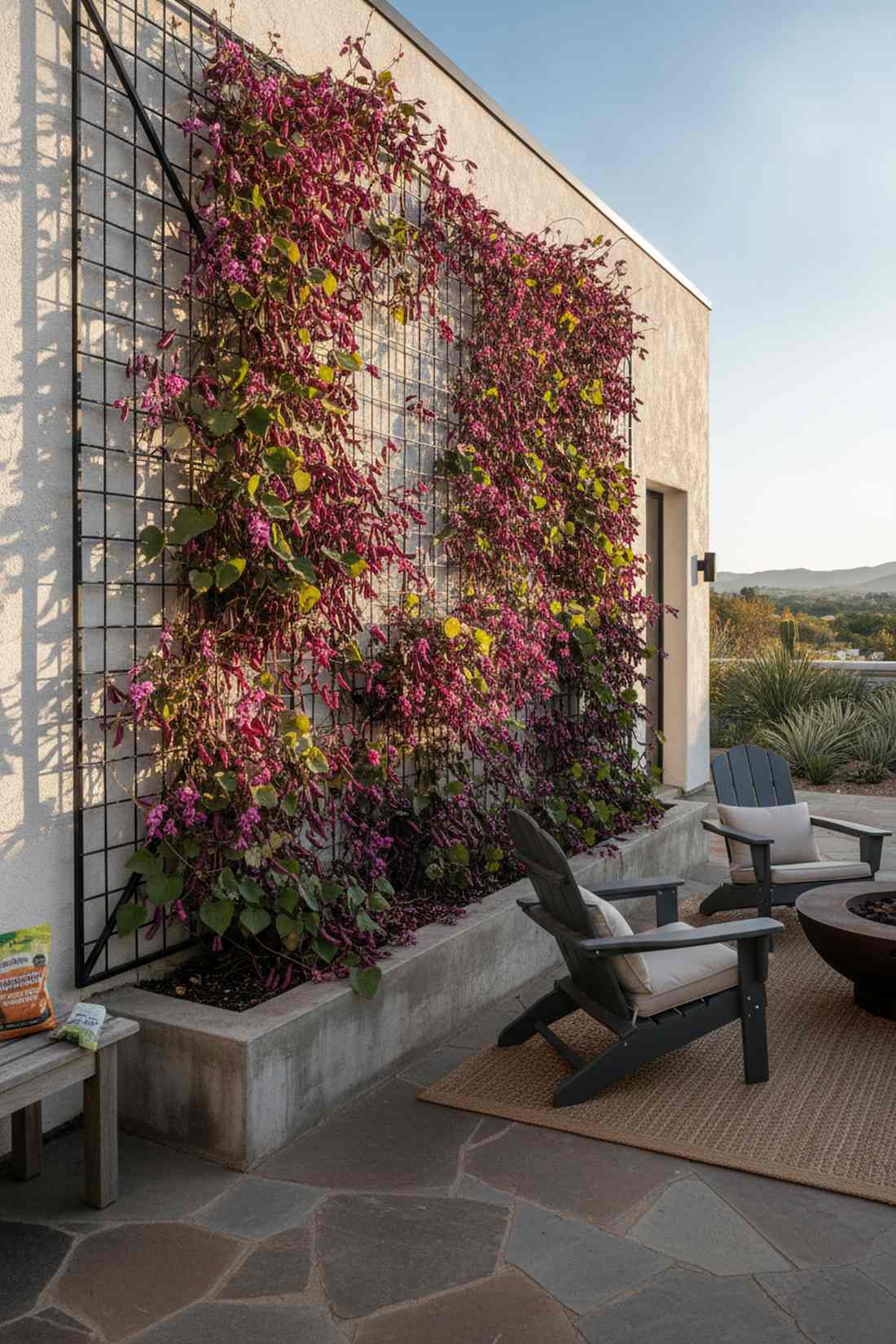 hyacinth bean