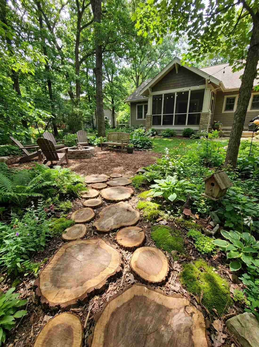 tree trunk slice woodland walkway