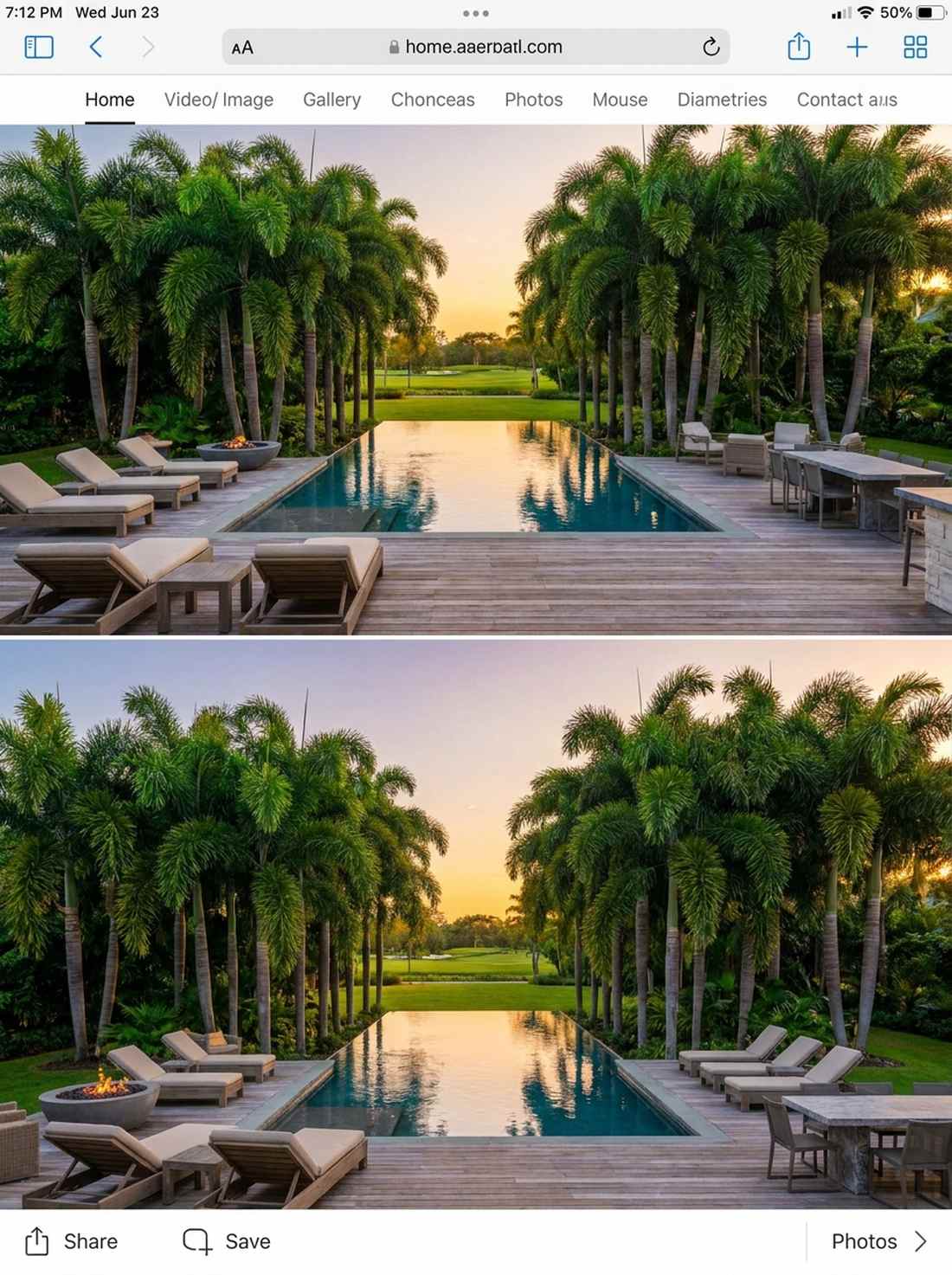infinity edge with foxtail palm backdrop