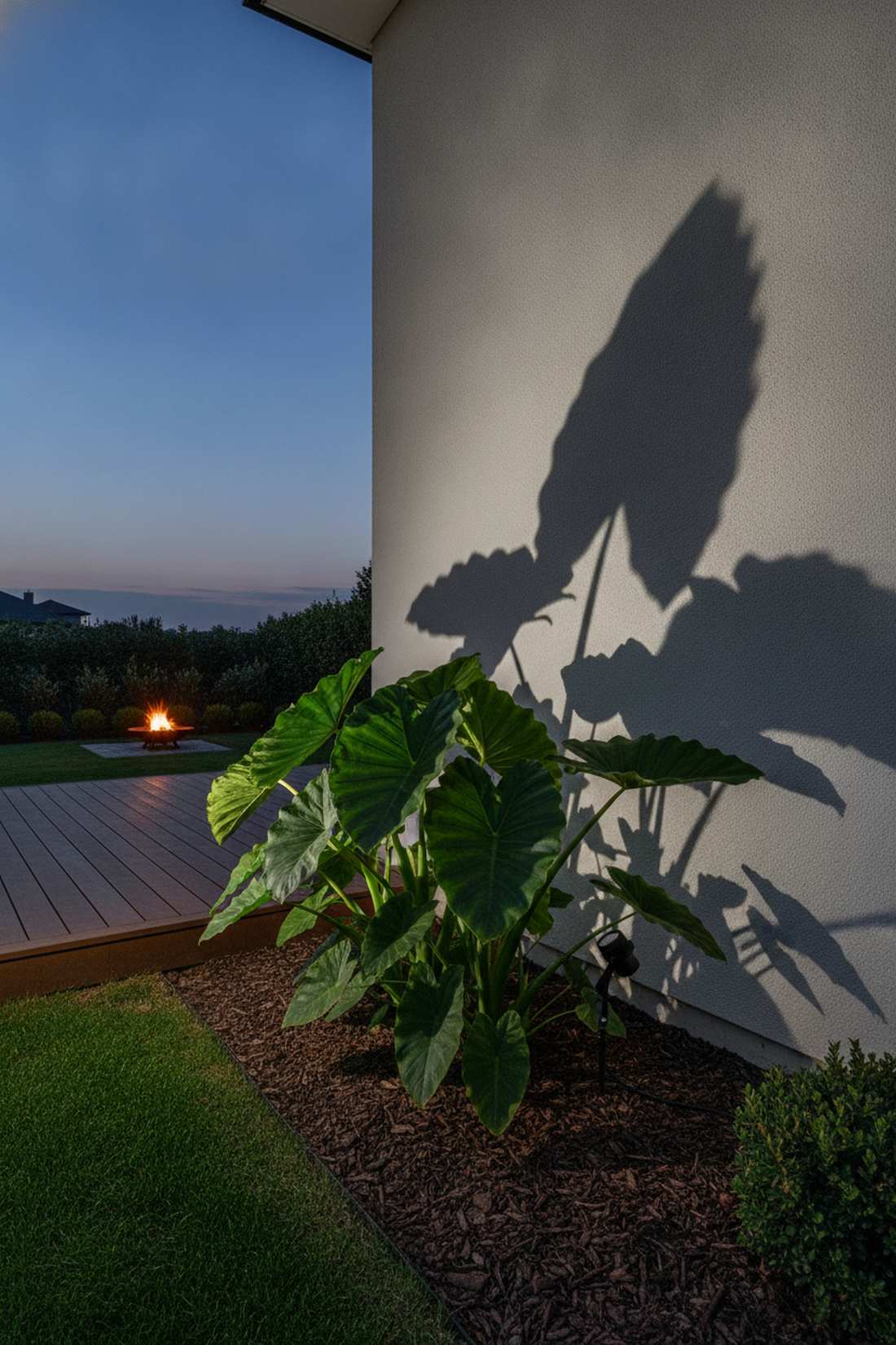 shadowing technique for architectural plants