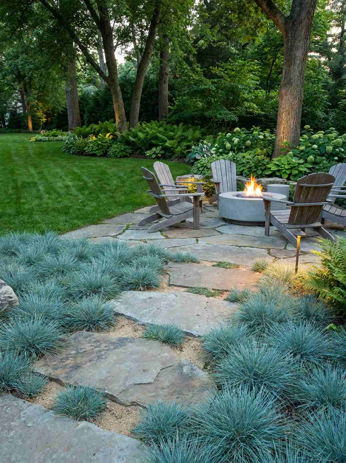 blue zinger sedge