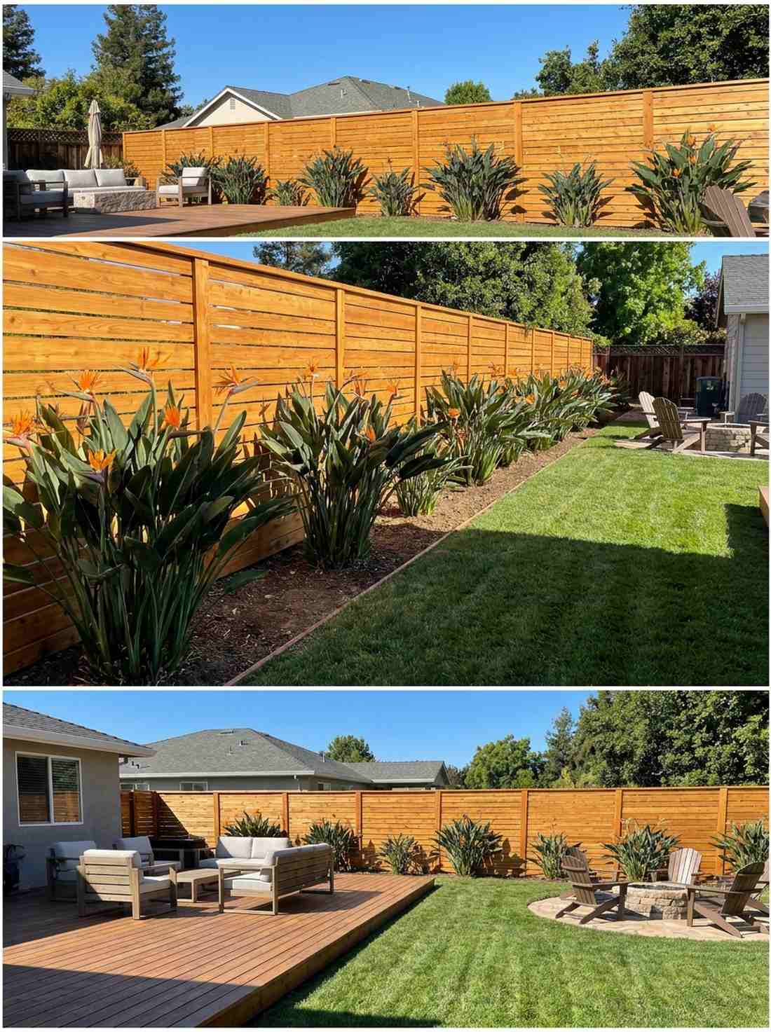horizontal wood slat fence with bird of paradise