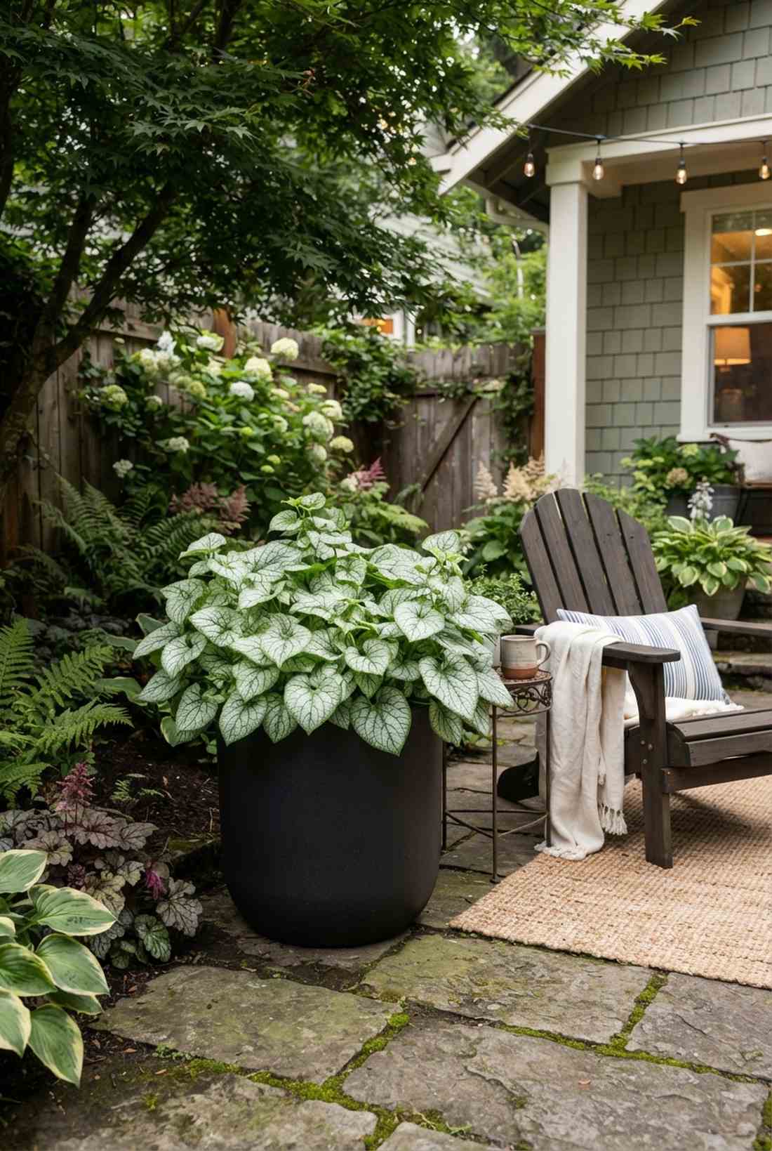 brunnera