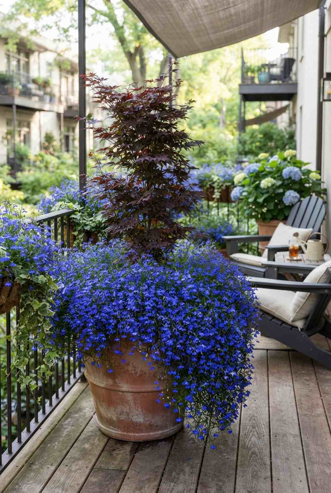 lobelia
