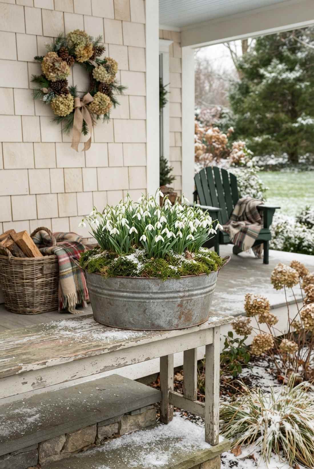 christmas blooming snowdrops