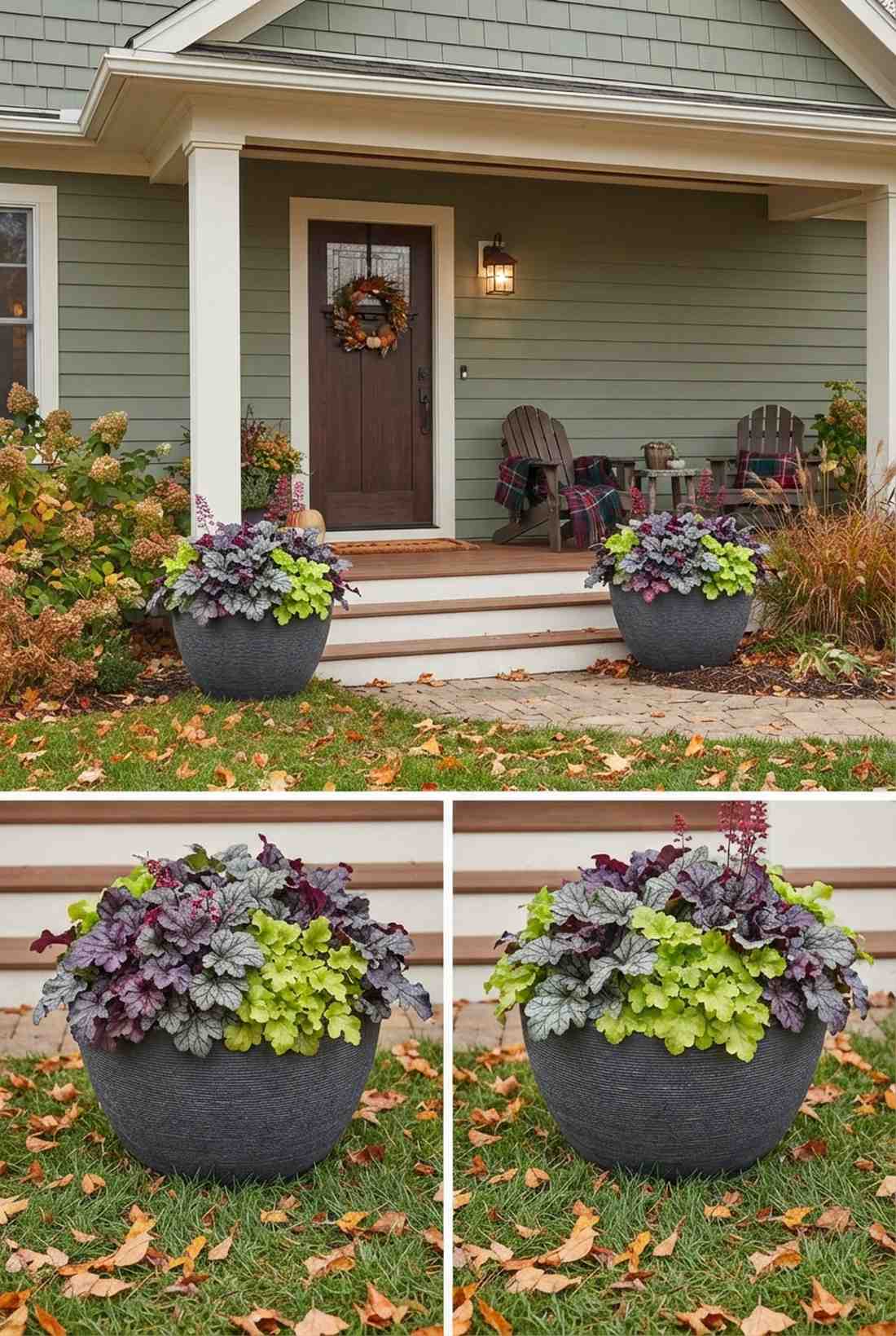 heuchera coral bells