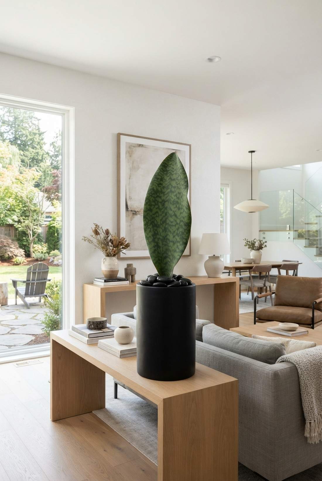 whale fin sansevieria