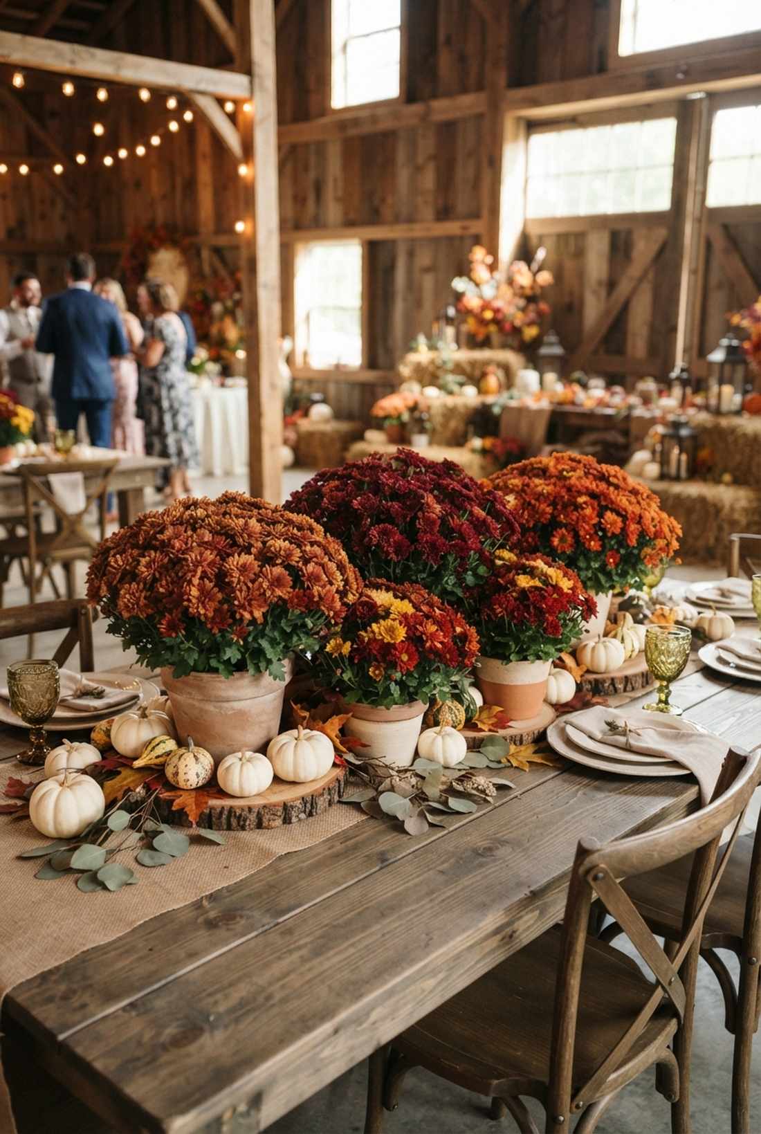autumn mum collections