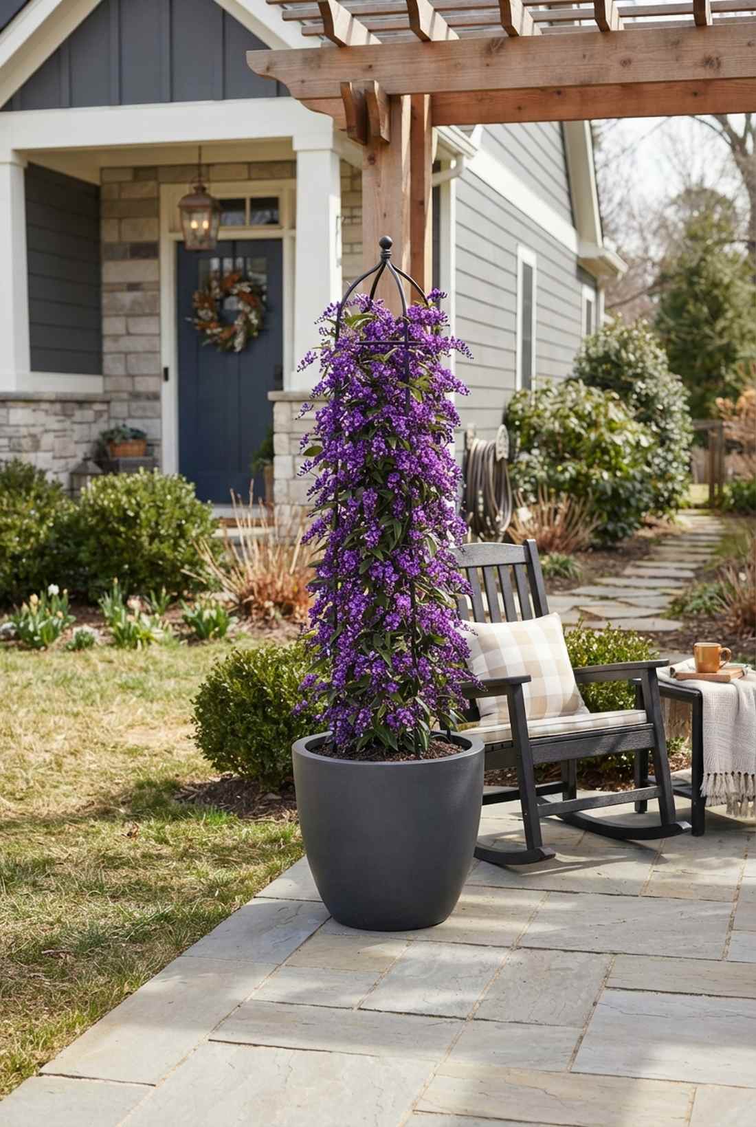 hardenbergia