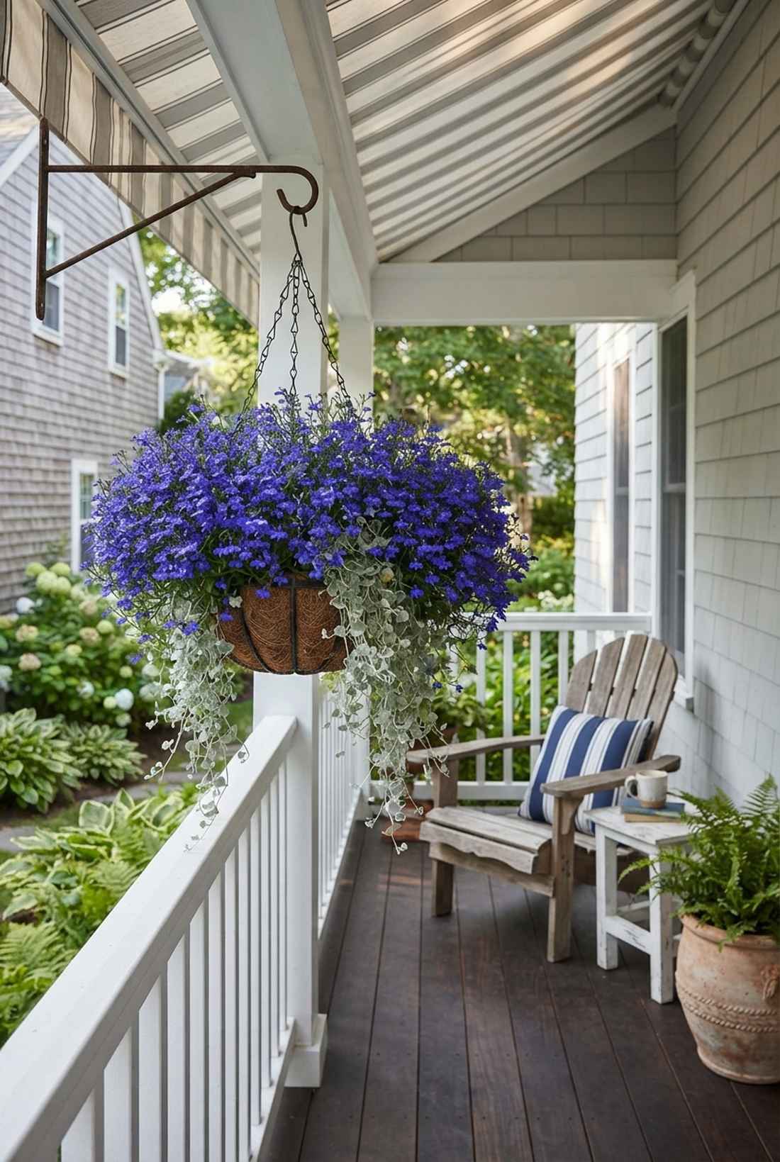 lobelia blue cascade