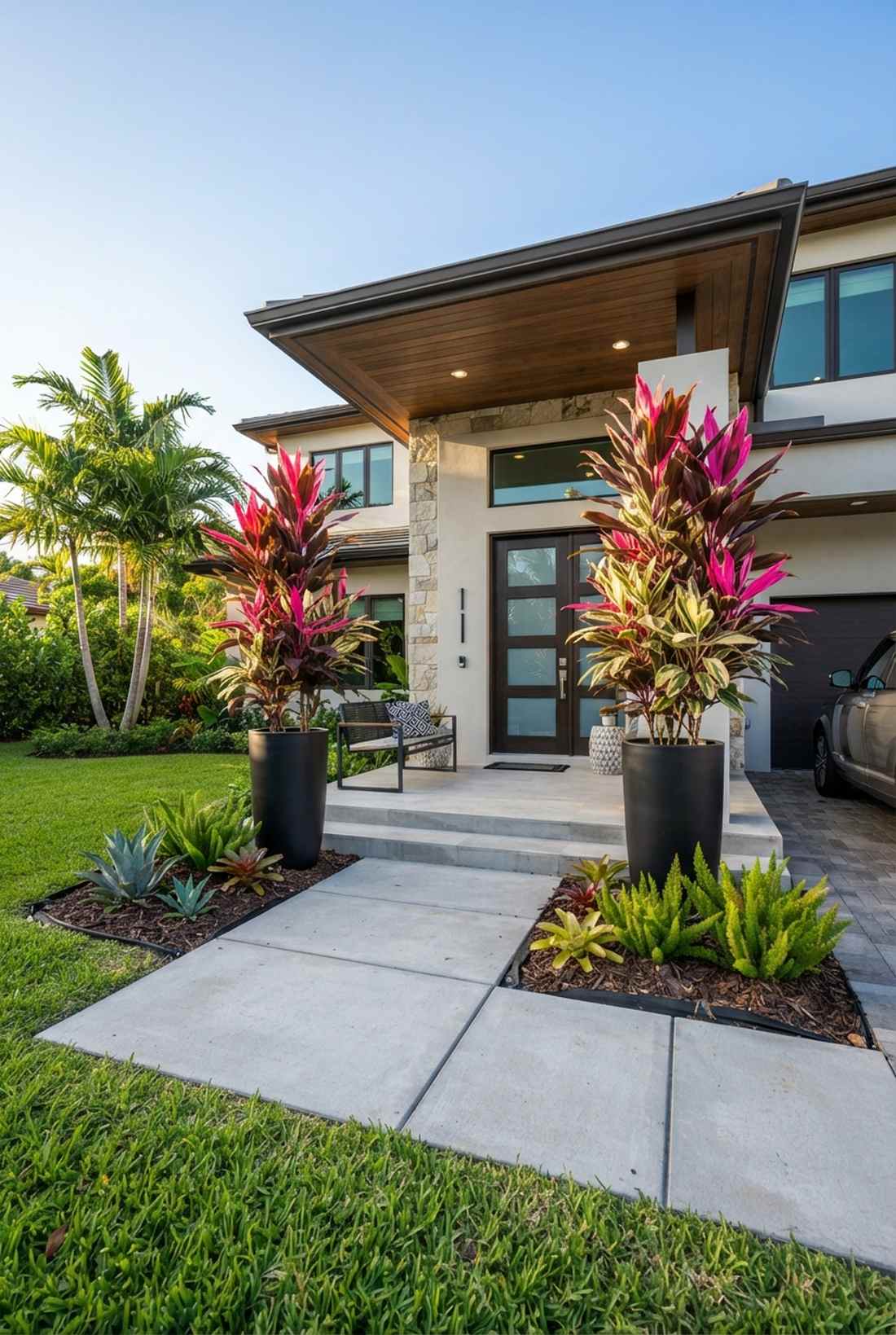 ti plant cordyline