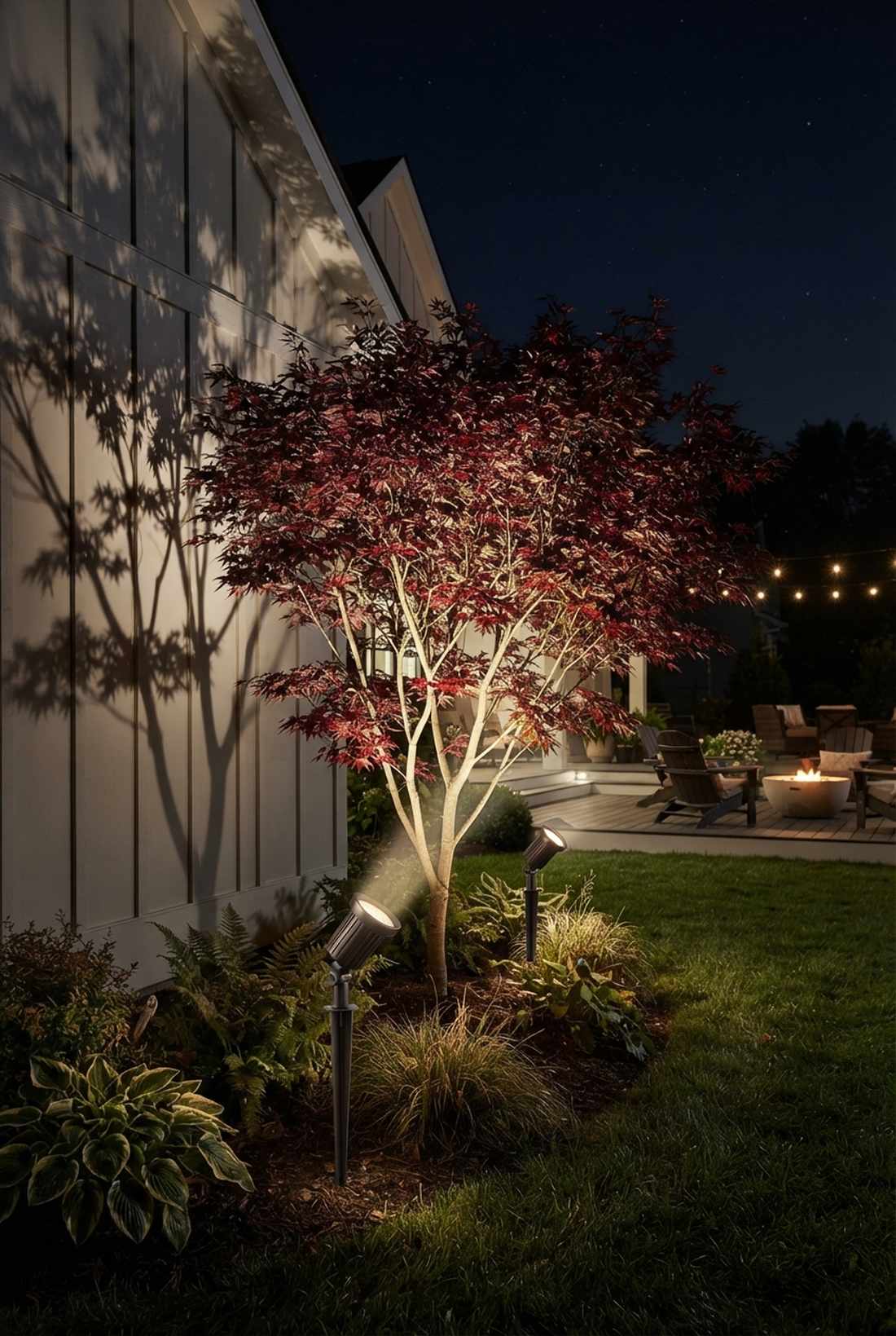 accent plant spotlights