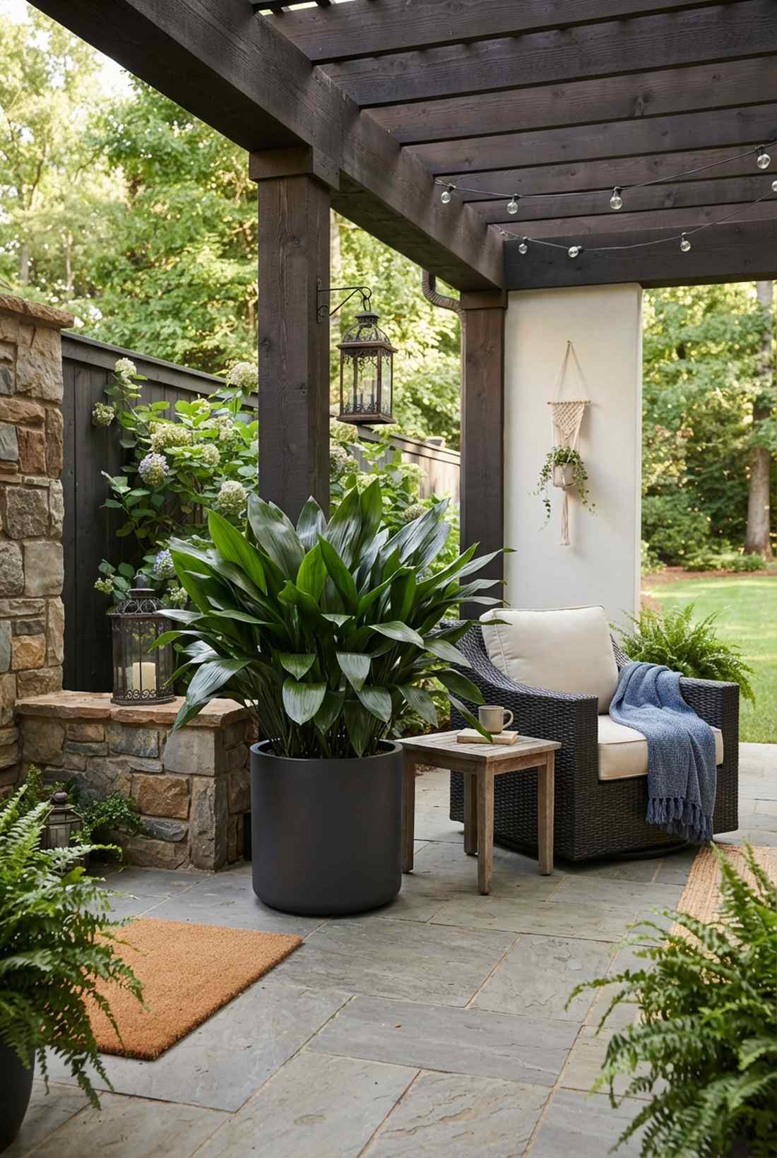 cast iron plant indestructible display