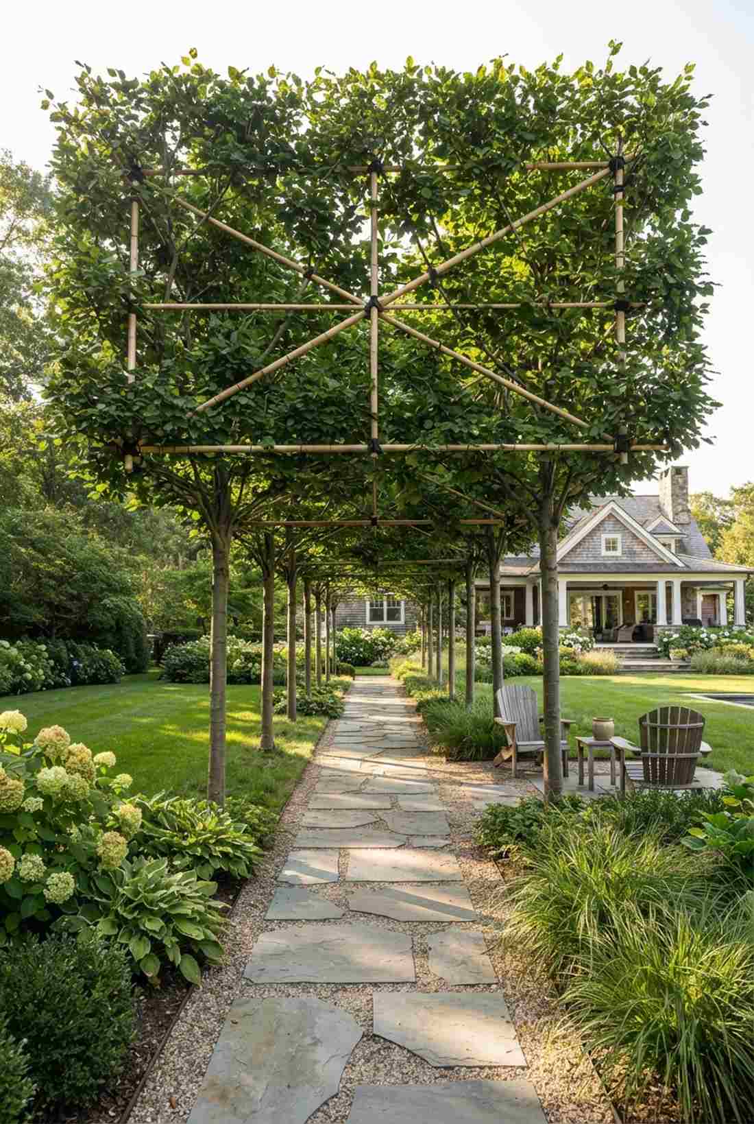 pleached tree allees