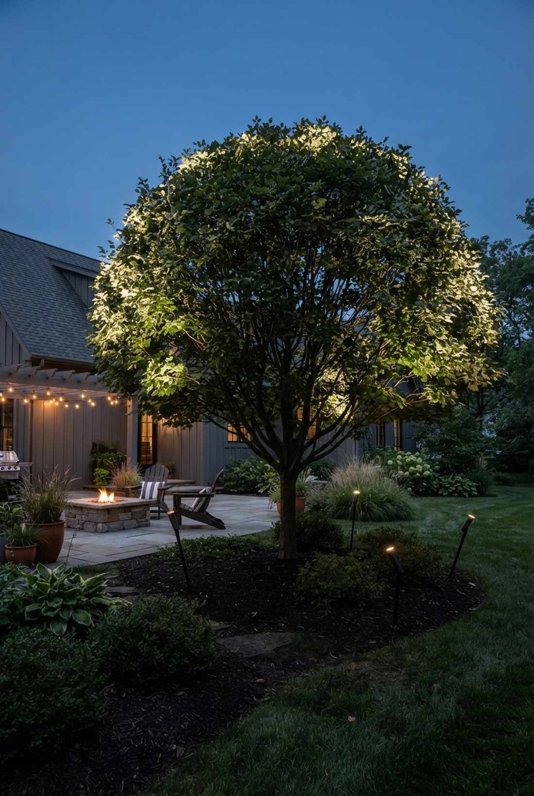 canopy edge uplighting